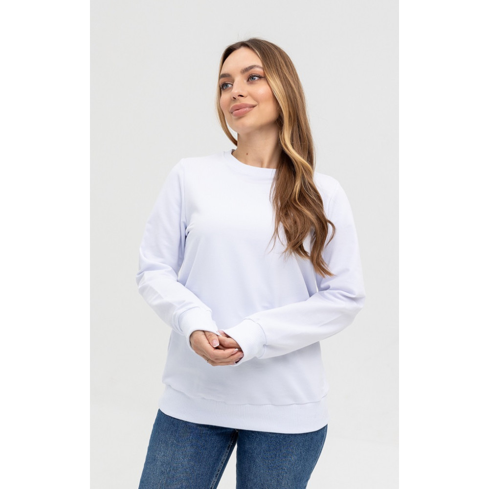 Реглан свитер свитшот классический 100% хлопок двухнить пенье 240 грамм