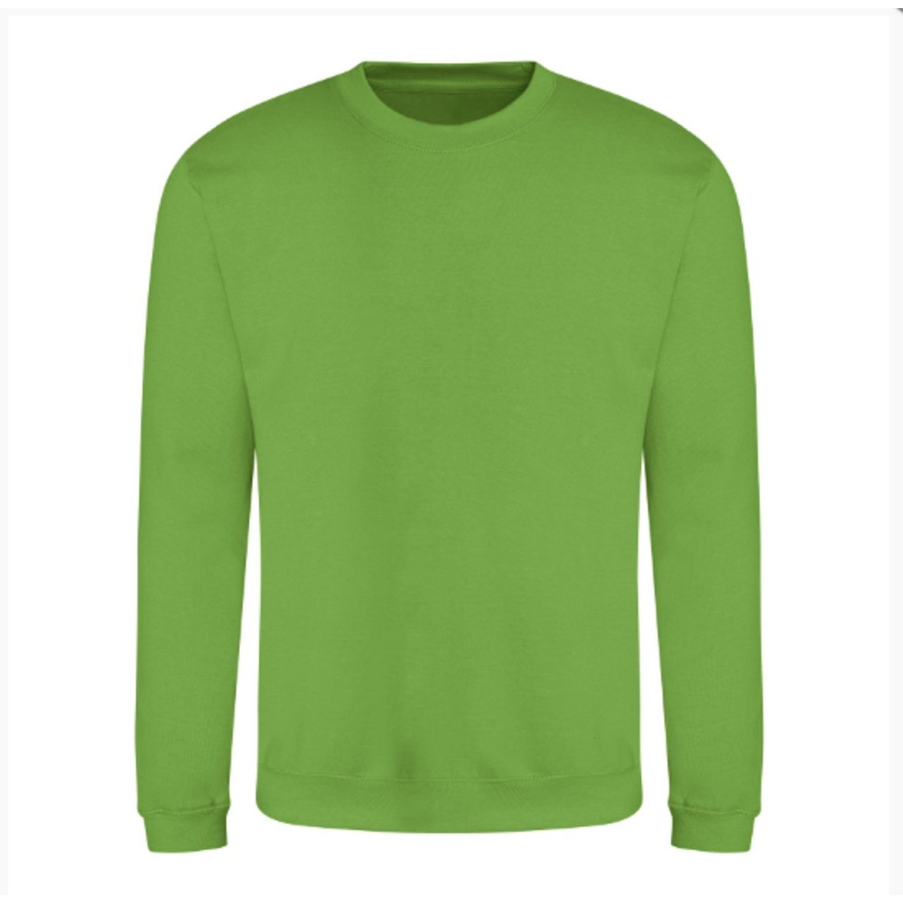 Свитшот на флисе утепленный 280 грам ассортимент цветов STANDART Service Odyag