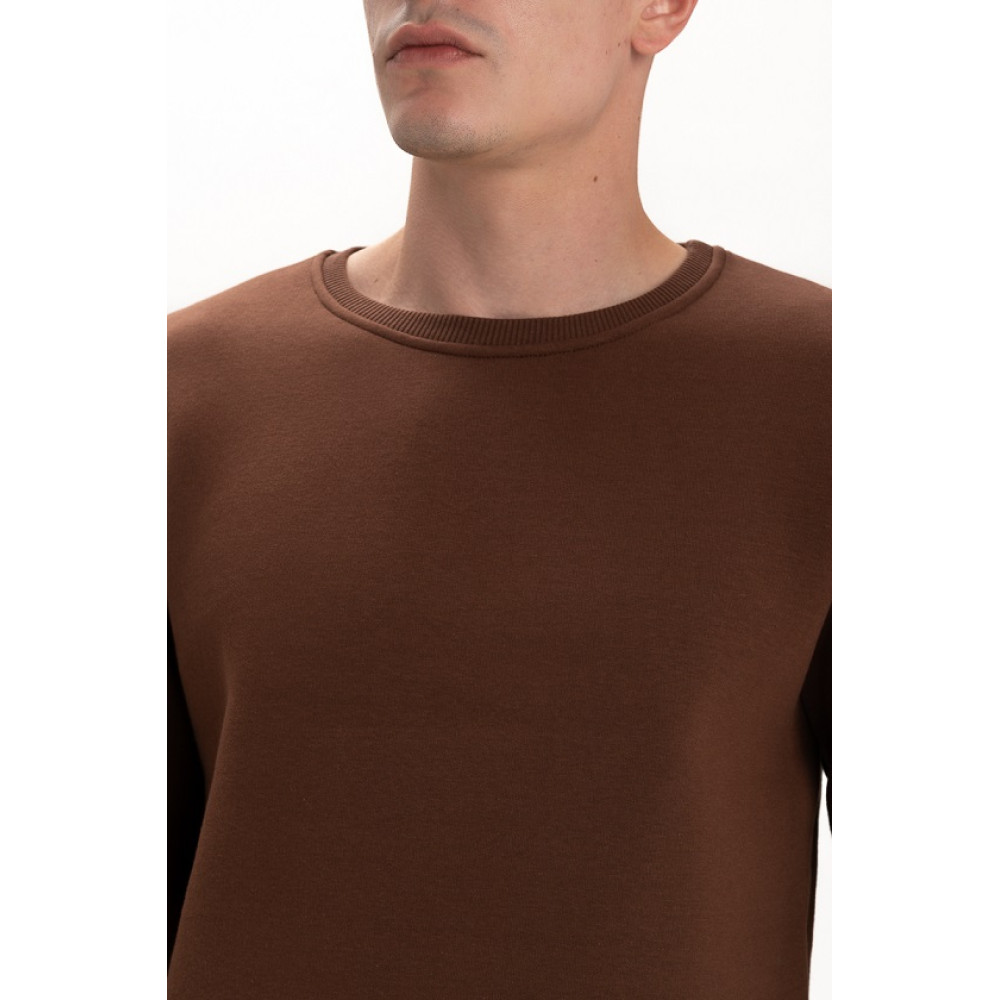 Свитшот PREMIUM 360 грамм на флисе утепленный цвет Коричневый Service Odyag