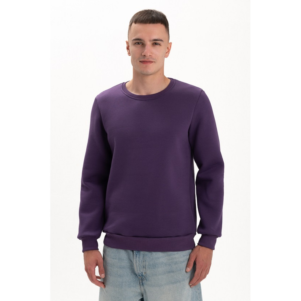 Свитшот PREMIUM 360 грамм на флисе утепленный цвет Фиолетовый Service Odyag