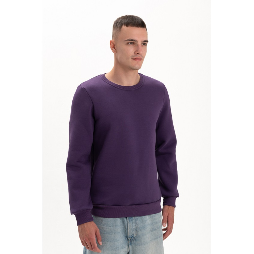 Свитшот PREMIUM 360 грамм на флисе утепленный цвет Фиолетовый Service Odyag